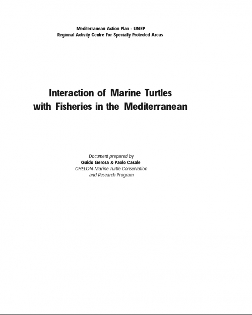 Interaction of the marine turtles with fishing in the Mediterranean