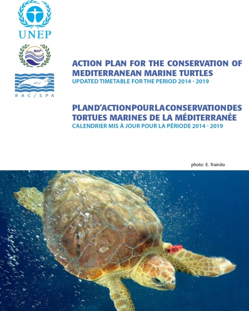 Calendrier mis à jour (2014 - 2019) du Plan d'action pour la conservation des tortues marines de la Méditerranée