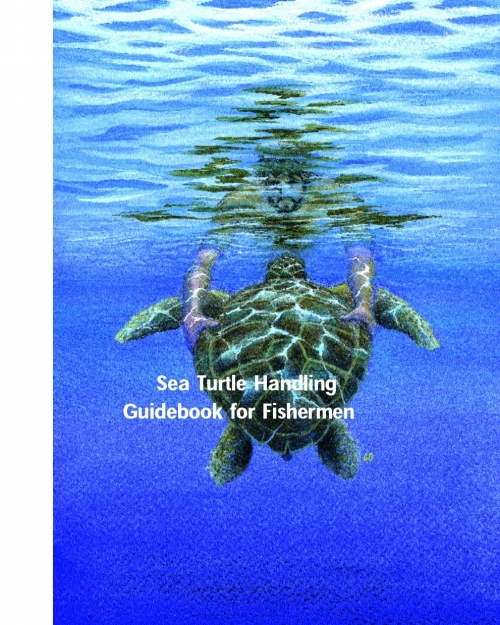 Guide du pêcheur pour les tortues marines 