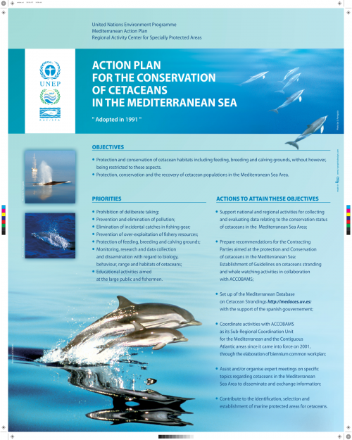 Poster on the Action Plan for the conservation of cetaceans in the Mediterranean sea