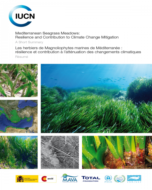 Mediterranean Seagrass Meadows: Resilience and Contribution to Climate Change Mitigation A Short Summary