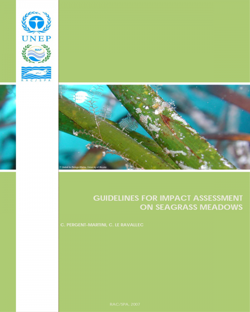 Guidelines for impact assessment on seagrass meadows