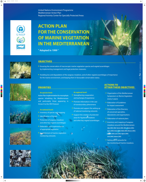 Poster on the Action Plan for the conservation of marine vegetation in the Mediterranean