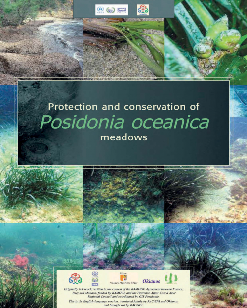 Protection and conservation of Posidonia oceanica meadows 