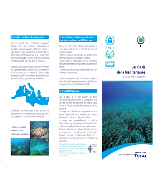 Brochure « Les Oasis de la Méditerranée – Les Herbiers Marins » 