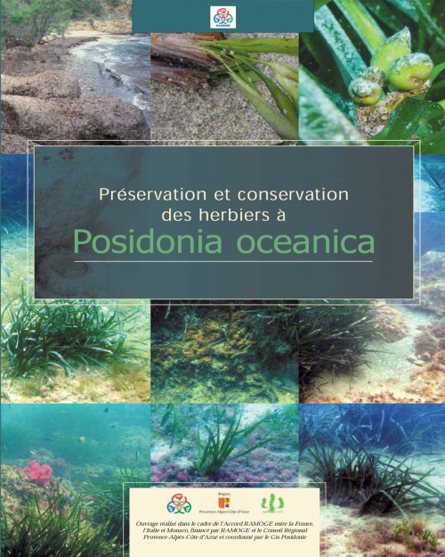 Préservation et conservation des herbiers de Posidonia oceanica 