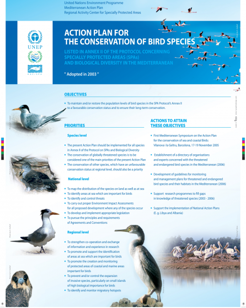 Poster on the Action Plan for the conservation of bird species