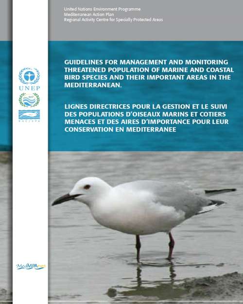 Guidelines for management and monitoring threatened population of marine and coastal bird species and their important areas in the Mediterranean