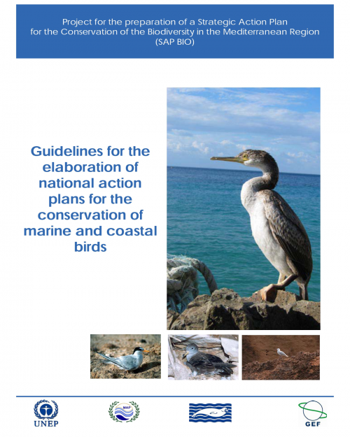 Guidelines for the elaboration of National Action plans for the conservation of marine and coastal birds