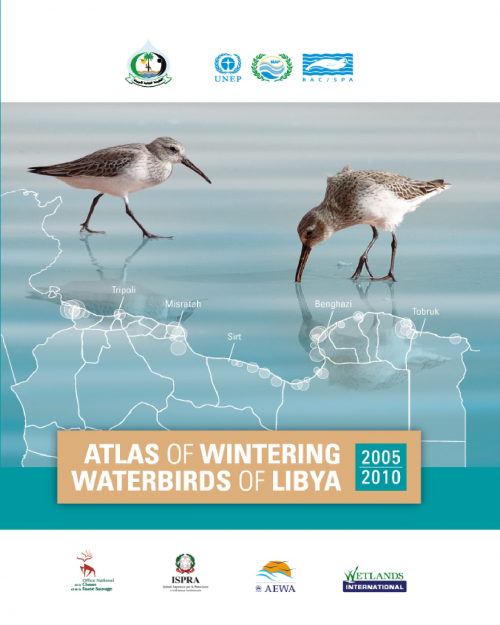 Atlas des oiseaux d'eau hivernants de Libye (2005 - 2010)