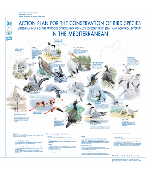 Poster sur les espèces d’oiseaux inscrites en annexe II du Protocole ASP/DB