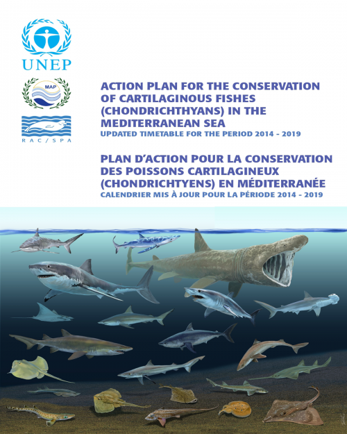 Updated Timetable (2014 - 2019) of the Action Plan for the Conservation of Cartilaginous Fishes (Chondrichthyans) in the Mediterranean Sea