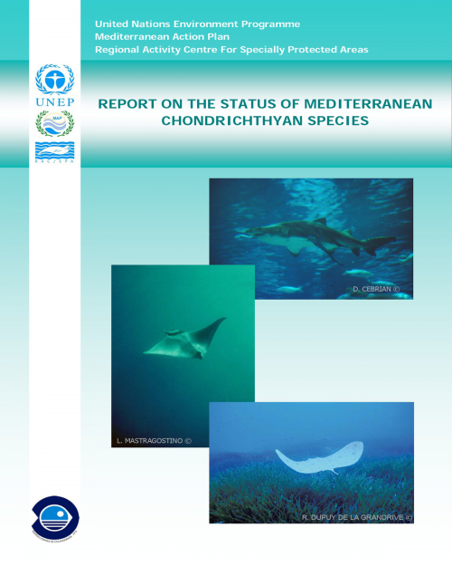 Rapport sur l'état des espèces de Chondrichtyens en Méditerranée ( en anglais)