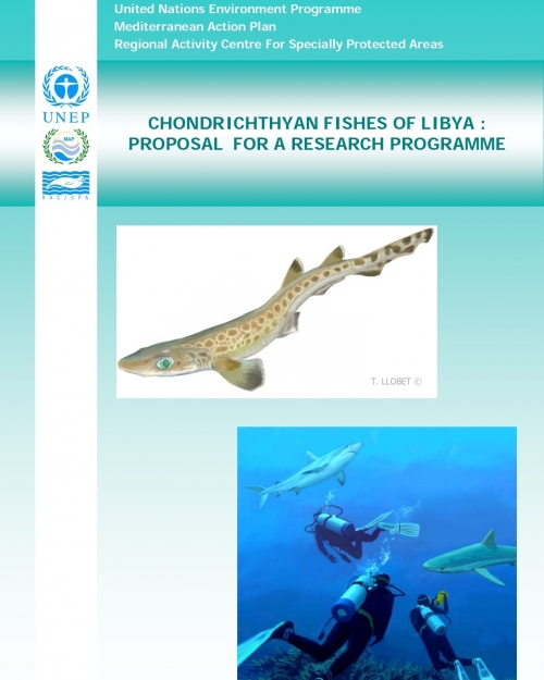 Chondrichthyan fishes of Libya: Proposal for a research programme