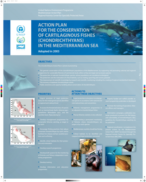 Poster on the Action Plan for the conservation of cartilaginous fishes (Chondrichthyans) in the Mediterranean