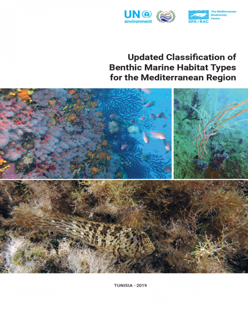 Updated Classification of Benthic Marine Habitat Types for the Mediterranean Region