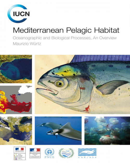 Mediterranean Pelagic Habitat: Oceanographic and Biological Processes, An Overview