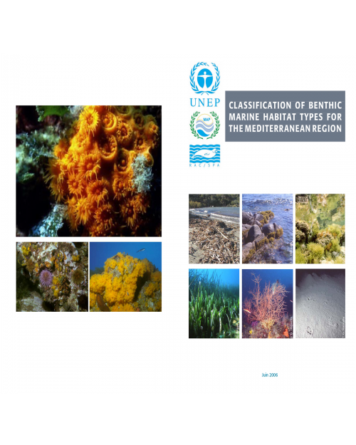 Classification of benthic marine habitat types for the Mediterranean region