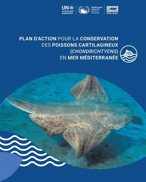 Plan d’action pour la conservation des poissons cartilagineux (Chondrichtyens) en mer Méditerranée