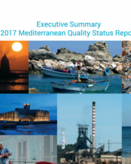 2017 MED QSR