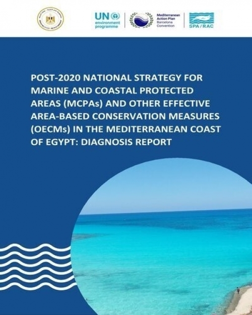 Post-2020 national strategy for marine and coastal protected areas (MCPAs) and other effective area-based conservation measures (OECMs) in the Mediterranean coast of Egypt: Diagnosis report