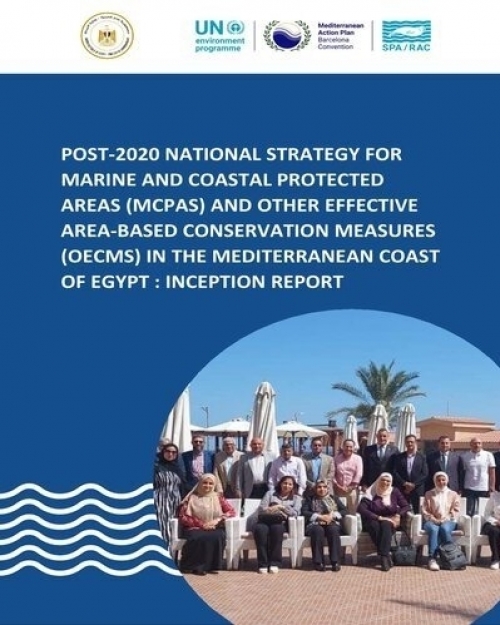 Post-2020 national strategy for marine and coastal protected areas (MCPAs) and other effective area-based conservation measures (OECMs) in the Mediterranean coast of Egypt: Inception report