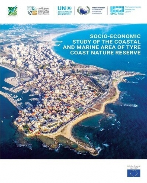 Socioeconomic characterization of the coastal and marine habitats in Tyre