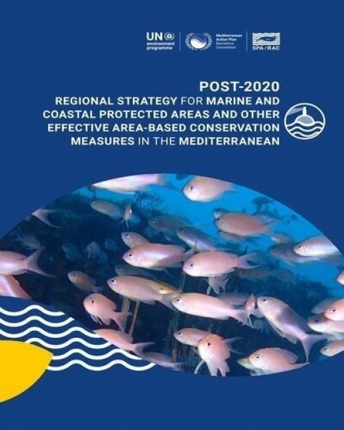 Stratégie régionale post-2020 pour les Aires marines et côtières protégées (AMCP) et les Autres mesures de conservation efficaces par zone (AMCE) en Méditerranée