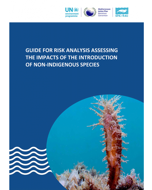 Guide for risk analysis assessing the impacts of the introduction of NIS