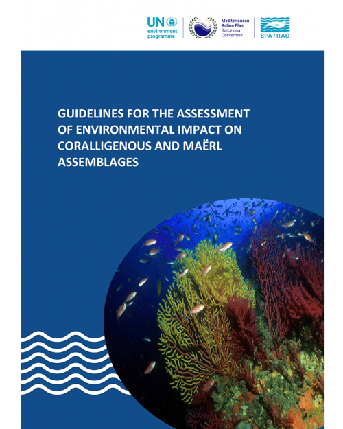 Guidelines for the Assessment of Environmental Impact on Coralligenous and Maërl Assemblages