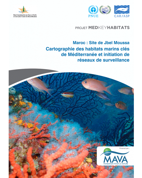 Maroc - Site de Jbel Moussa. Cartographie des habitats marins clés de Méditerranée et initiation de réseaux de surveillance