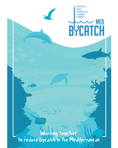 Brochure sur le Project MedBycatch (Phase II)