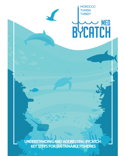 Bycatch Project Flyer  (2020)