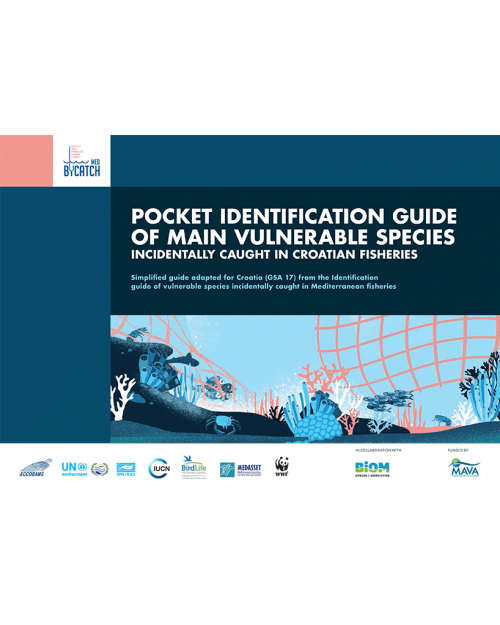 Pocket identification guide of main vulnerable species incidentally caught in Croatian fisheries