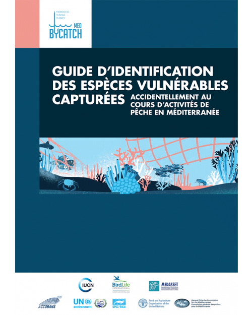 Guide d'identification des espèces vulnérables capturées accidentellement au cours d'activités de pêche en méditerranée