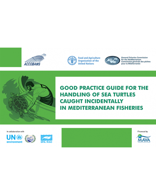 Good practice guide for the handling of seaturtles caught incidentally in Mediterranean fisheries