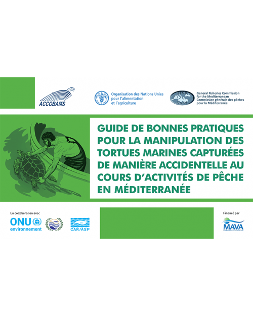 Guide de bonnes pratiques pour la manipulation des tortues marines capturées de manière accidentelle au cours d'activités de pêche en Méditerranée 