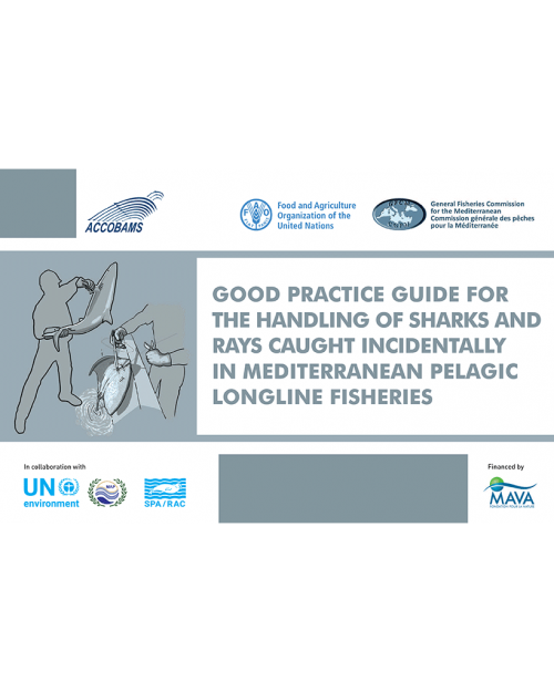 Good practice guide for the handling of sharks and rays caught incidentally in Mediterranean pelagic longline fisheries