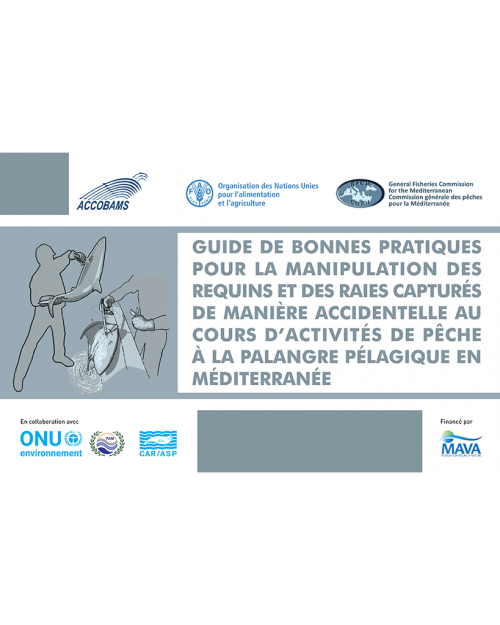 Guide de bonnes pratiques pour la manipulation des requins et raies capturés de manière accidentelle au cours d'activités de pêche à la palangre pélagique en Méditerranée