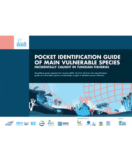 Pocket identification guide of main vulnerable species incidentally caught in Tunisian fisheries