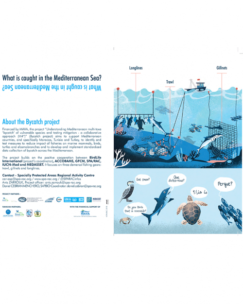 Bycatch Project Flyer