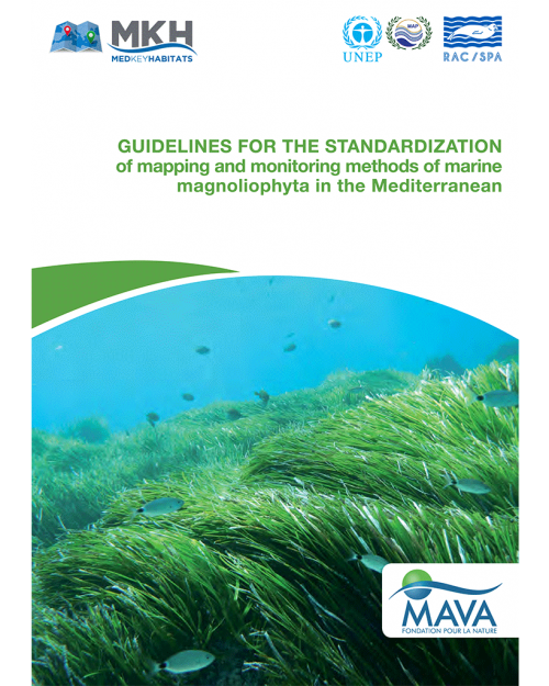 Guidelines for Standardization of Mapping and Monitoring Methods of Marine Magnoliophyta in the Mediterranean