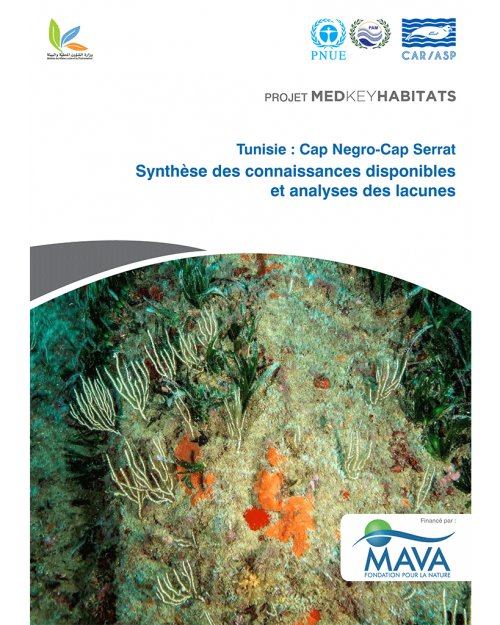 Tunisia - Cap Negro-Cap Serrat. Synthesis of Available Knowledge and Gap Analysis