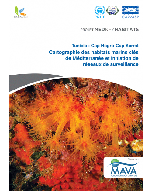 Tunisia - Cap Negro-Cap Serrat. Mapping of Mediterranean Key Marine Habitats and Initiation of Monitoring Networks