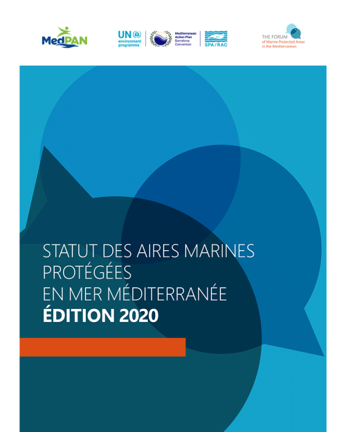 Statut des Aires Marines Protégées en mer Méditerranée - Édition 2020