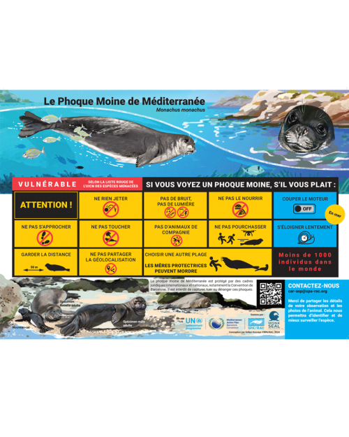 Poster sur le Phoque moine de Méditerranée
