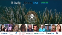 life pinna <time>(18 September 2025)</time>