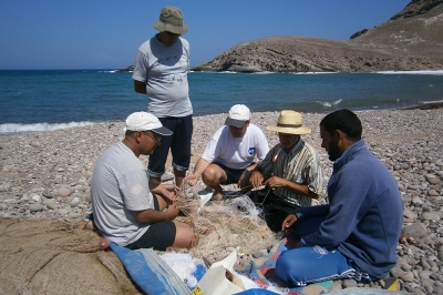 Calls for consultation for socio-economic and ecological synthetic diagnostic assessment of Cap des Trois Fourches in Morocco