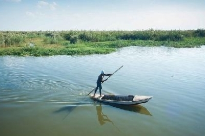 Appels à consultants pour l’élaboration d'un bilan écologique et socio-économique de l’environnement marin et côtier de l’Aire Protégée d’Ashtoum