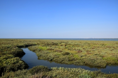Appel à consultation pour l’élaboration d’un bilan diagnostic synthétique de l’état écologique de la zone marine et côtière des îles Kneiss en Tunisie